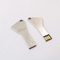 کلید فلزی 16 گیگابایتی فلش درایو USB مطابق با استاندارد ایالات متحده Wristing 50MB-100MB/S