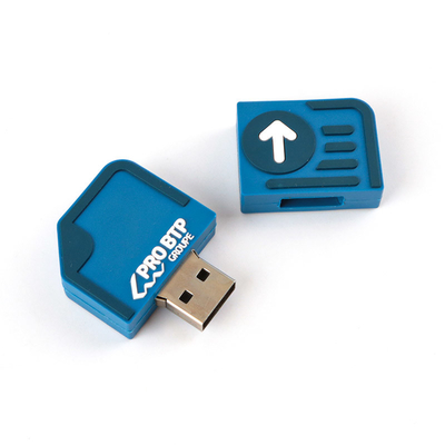 درایوهای فلش USB سفارشی 2GB 10 سال ذخیره داده رایگان و سریع