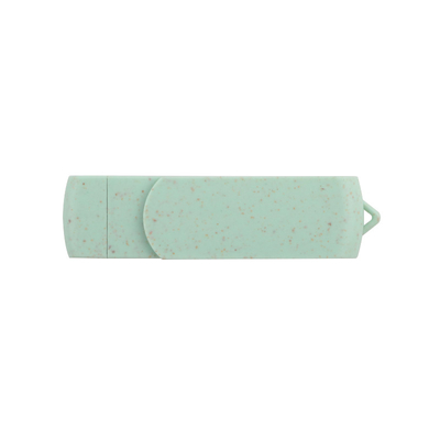 رمز عبور پشتیبانی شده لوگو سفارشی نوع C USB فلش درایو برای ذخیره سازی انبوه و آپلود داده