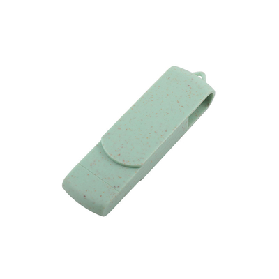 رمز عبور پشتیبانی شده لوگو سفارشی نوع C USB فلش درایو برای ذخیره سازی انبوه و آپلود داده