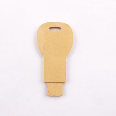15 مگابایت/ثانیه 32 گیگابایت 128 گیگابایت مواد قابل بازیافت درایو USB فلش USB 2.0 سریع